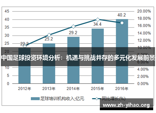 中国足球投资环境分析：机遇与挑战并存的多元化发展前景
