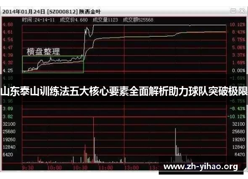 山东泰山训练法五大核心要素全面解析助力球队突破极限