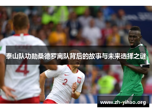 泰山队功勋桑德罗离队背后的故事与未来选择之谜