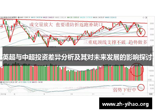 英超与中超投资差异分析及其对未来发展的影响探讨 英超与中超投资差异分析及其对未来发展的影响探讨